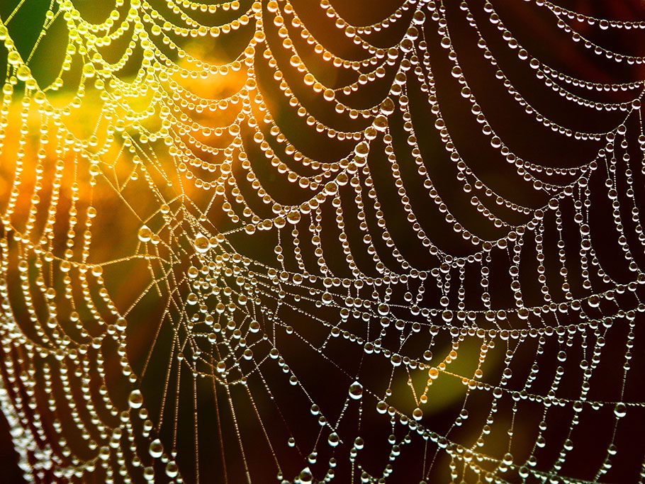 Affordable Web Design Ltd has been helping businesses thrive through their effective web presence since 1996.